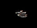 M4-78 Planet Intro