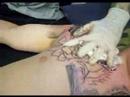 Black and Grey Chest panel tattooing Black and Grey Chest panel tattooing