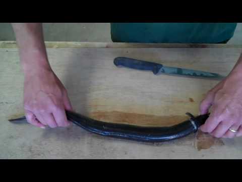how to skin a eel