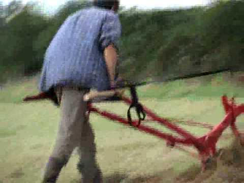Cornish Voices Organic farming ...