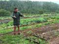 Cornish Voices Organic farming series video 1