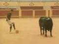 C Ronaldo vs Bull