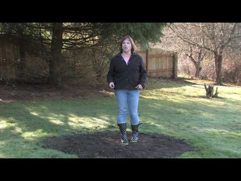 how to drain soil