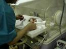 feeding premature 1.4 kg
