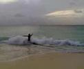 Skimming or surfing Skimming or surfing