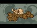 Cookie