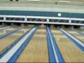 videos de Bumper Ball!