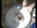 videos de desjardins bouff nimporte koi !!