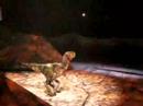 Dinousaurs