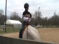 videos de Kid Child broke Horse for sale Barrel racing Pole Bending BAY