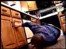 unauthorized movie trailer unauthorized movie trailer