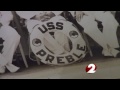 Pearl Harbor survivor remembers attack
