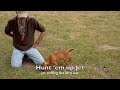 Jet, my 12 week Viszla showing outstanding natural ability both pointing and retrieving