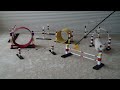 Tonkinese kitten training for CFA Feline Agility
