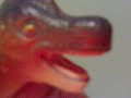 gary you a fucked up individual gary!! daddy dinosaur gots some choice words for you fuggin ugly ass mofo!! pickin on little girls? gary. straighten yo ass out or imma come over there and chomp on you ugly plastic surgeon fuck up face!! say you sorry mofo!! say it!! say it!!