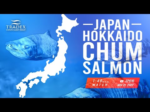 3MMI - Largest Hokkaido Salmon Harvest Since 2016 - BUT Japan Still Needs More Salmon