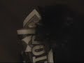 A New Cat Video: Cats N Boxes