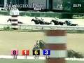 ARLINGTON PARK, 2008-07-13, Race 1