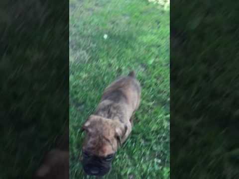 Beautiful Boy Playing!!!