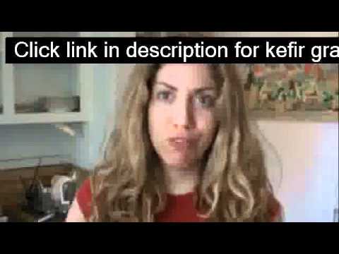 how to grow kefir grains