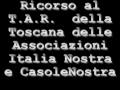 20091102 intervista ceruti gr1