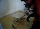 Schrodinger The Cat Plays The Theremin