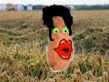 boniato paco boniato paco