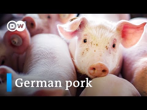 Imagen de previsualización de YouTube