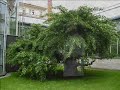 Slavnostní setkání u rodného domu Jaroslava Foglara Slavnostní setkání u rodného domu Jaroslava Foglara
