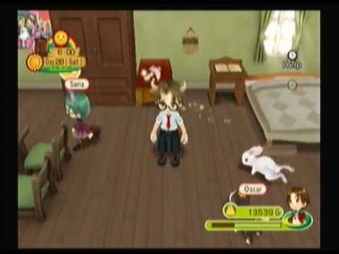 how to get furniture in harvest moon