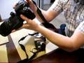 New Canon 40D!! Tested, tried, and reviewed