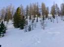 Neve fresca - Valle Stura