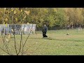 CIMG0228