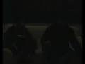 videos de henineken