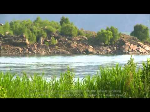 tatvan belediye başkanı