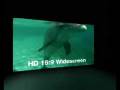 videos de Creative Vado HD