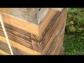 larger centipede is walking on the beehive. it try to catch honeybees. can it catch agile honeybees? it sneak up on honeybees. it catched a honeybee easily. their families try to help her. unfortunately, it is impossible. it eating honeybee at the safe place. please watch hornet and bee movies(playlist) www.youtube.com