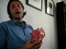CivicAction Cast: Exotic Fruit