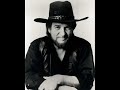 Mammas Don't Let Your Babies Grow Up To Be Cowboys (Song) by Waylon Jennings and Willie Nelson