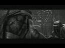 TMNT (Raph & Leo) - "It Ends Tonight"