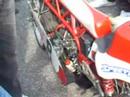 Cinquantino sportivo a imola