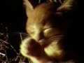 Little Chatran and Pousquet Little Chatran and Pousquet