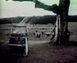 paul is dead - the rotten apple 1