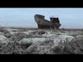 Cotton - Environmental Disaster & Lethal Pesticides Cotton - Environmental Disaster & Lethal Pesticides