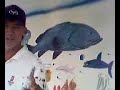 wyland life video day 8 section 11