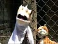 Perritos vagos