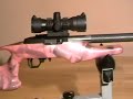 This is a no expense build for one of my precious. The Stock cost me close to $600 as it is not a factory unit..but rather a customized shorted, lightened, PPG automotive painted with pearl clear and that laser engraved butt pad. VQ trigger group and VQ CF barrel topped currently with a Centerpoint dot. Tab was about $1300+ by the time I was done.