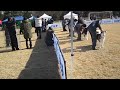 2009-11-22 AKU Fedor