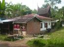 al hafis pitopang