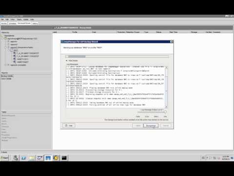 how to use snapmanager for sql